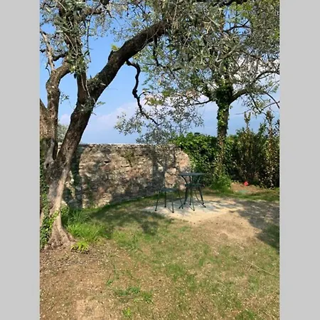 Pelacà 1931 Small With Minipool